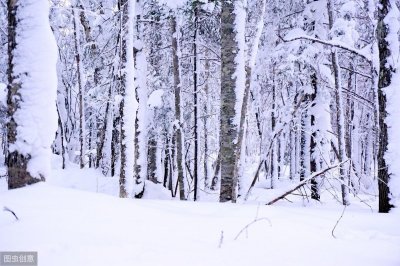 ​吉林省延边朝鲜族自治州人口民族概况