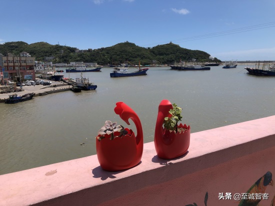 温岭的七彩小岛小箬村,虽是网红渔村却依然古朴清幽