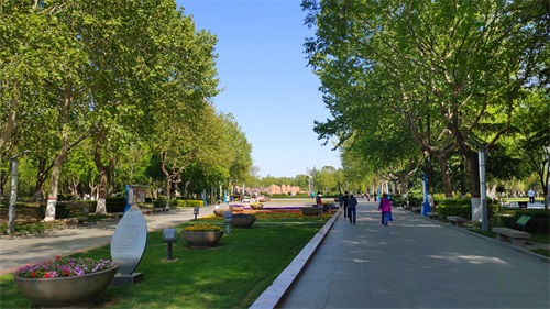 我心目中石家庄二环内最好的公园——世纪公园