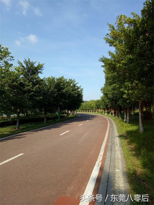 东莞生态园风筝广场！东莞人们一家亲，分享快乐就是我的义务