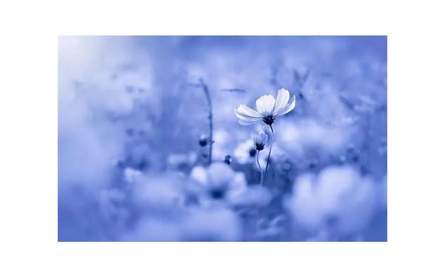 男生是不是都吃过女朋友那个 男生舔女生下面什么感觉