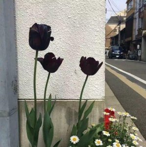 ​能笑死人的笑话有哪些？