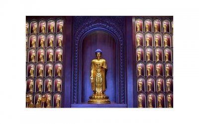 ​为什么我的性功能特旺 为什么二三十岁的人性欲强