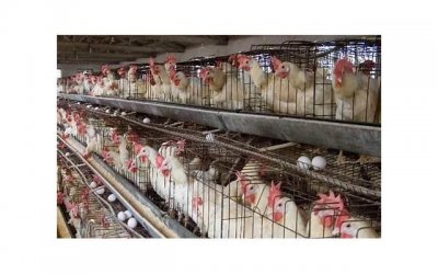 ​该不该花男生的钱？ 恋爱中男女花钱原则