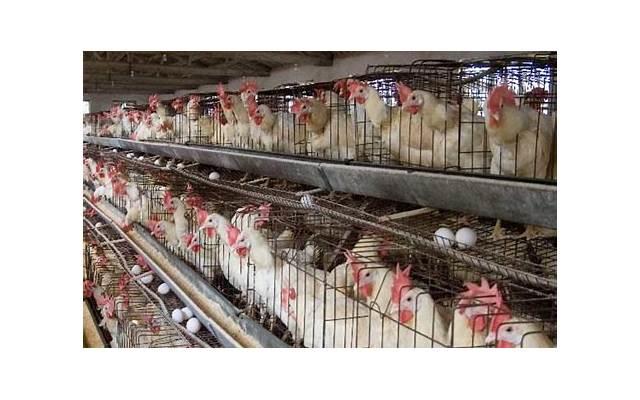 该不该花男生的钱? 恋爱中男女花钱原则 该不该花男生的钱? 恋爱中男女花钱原则