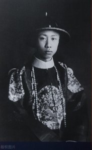 ​清朝第十二代皇帝的坎坷曲折的前半生
