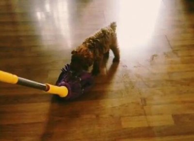 ​家里地板怎么拖都不干净？老保姆教你一招，轻松解决拖不净的难题