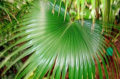 ​今夏旅游就去北大荒-北大荒现代农业园