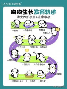 ​铲屎官必读！幼犬养护手册＋注意事项