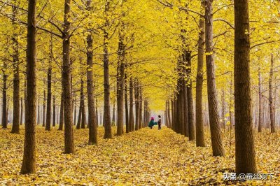 ​中国百强县（县级市）：江苏邳州