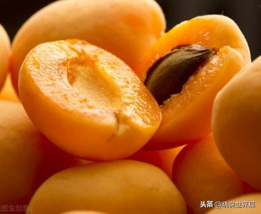 ​杏到底有多少品种，你知道吗？