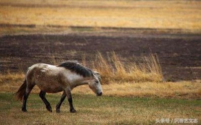 ​名家拾萃｜晚唐大家姚武功，后世诗人多取法
