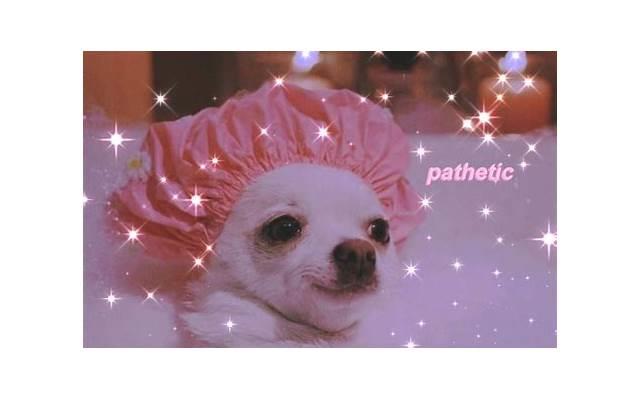 生僻字歌曲歌词(抖音生僻字歌词谐音简单版图片) 生僻字歌曲歌词(抖音生僻字歌词谐音简单版图片)