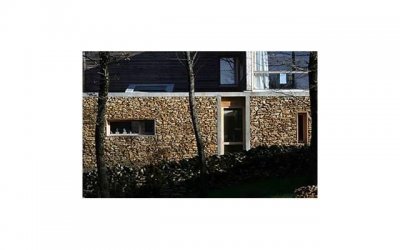 ​向女生开口表白的话（精选10句）