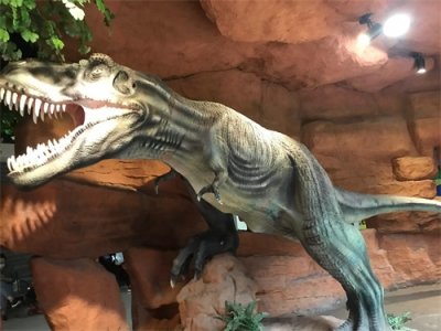 ​去南京地质博物馆