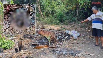 ​残忍！度假村垃圾堆惊现烧焦的新生儿尸体