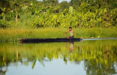 ​猛兽“绿森蚺”南美洲水栖动物之王