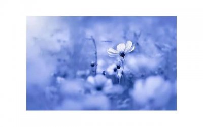 ​什么感情填上适当的词？从这五个角度看是否值得挽回