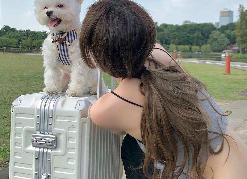 做梦梦见香味是什么意思 做梦梦见香味是什么意思