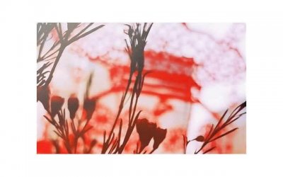 ​521是什么节日?521代表什么意思