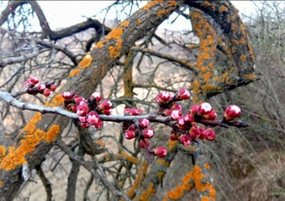 ​庆阳黄土高原上的田园美色惹人醉！