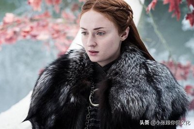 ​权利的游戏》中的狼家“三傻”珊莎·史塔克，戏里戏外都是美人胚