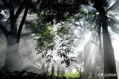 ​简短有趣的微博简介句子