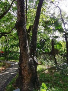 ​什么是好生意