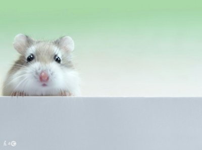 ​包容是一种宠辱不惊，万事淡然的心态