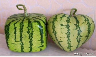 ​4种稀有的蓝色水果，一般人很难见到，第四种我只见过红色的！