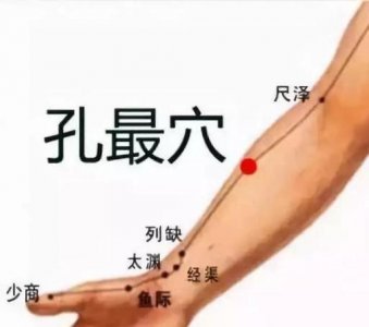 ​每日一穴：孔最穴