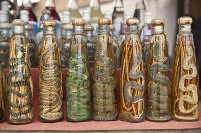 ​毒蛇泡酒一年，开瓶还能窜出咬人，为何蛇还没泡死？