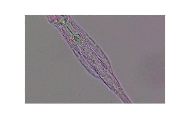 屡次相亲失败,自信心被打击到怎么办? 屡次相亲失败,自信心被打击到怎么办?