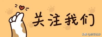 ​那些您不知道的吉尼斯世界纪录（一）