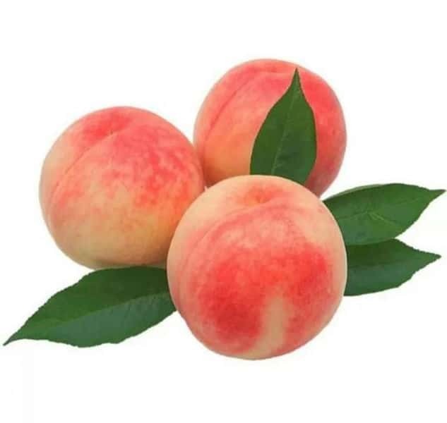 中国传统祭祀祖先用品的讲究(上坟用的祭祀用品有什么)