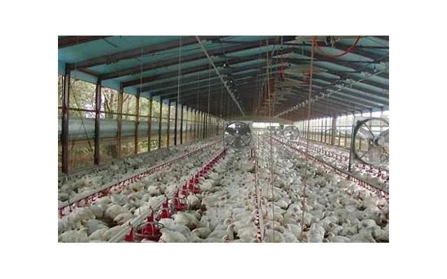 红包仪式感怎么做才能做到1到10(红包怎么发有仪式感) 红包仪式感怎么做才能做到1到10(红包怎么发有仪式感)