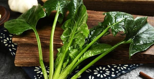 谷雨吃什么传统美食,谷雨时节图2