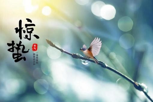 惊蛰节气的古诗词赏析