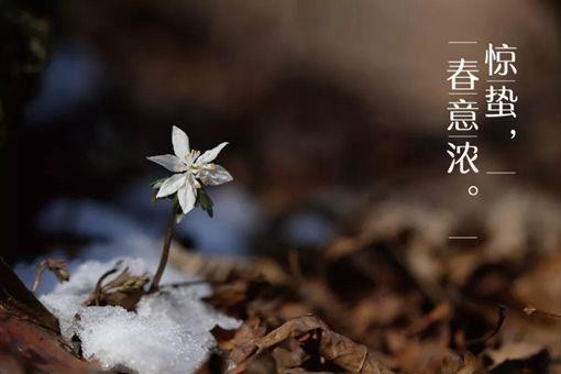 惊蛰节气的古诗词赏析