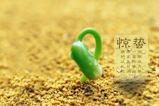 惊蛰节气的古诗词赏析