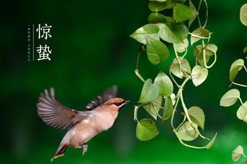 惊蛰节气的古诗词赏析