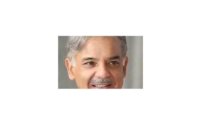 买独赢怎么才算赢 买独赢怎么才算赢