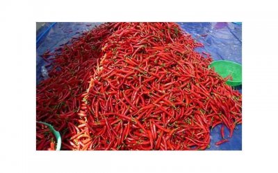 ​挽回男友攻略：有现任忘不了前男友是怎么回事