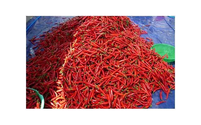 挽回男友攻略:有现任忘不了前男友是怎么回事 挽回男友攻略:有现任忘不了前男友是怎么回事