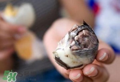 ​鸭仔蛋好吃吗？鸭仔蛋有什么营养