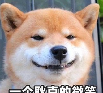 ​狗界最值得养的5种大型犬，寿命长，还特别好养