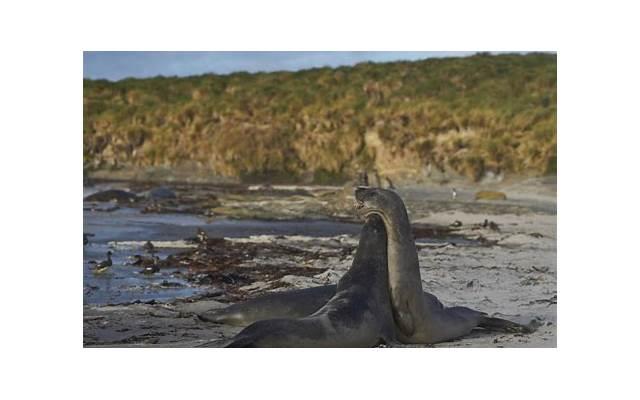 爱情的痛苦:从艾滋病的由来看人类情感的脆弱性 爱情的痛苦:从艾滋病的由来看人类情感的脆弱性