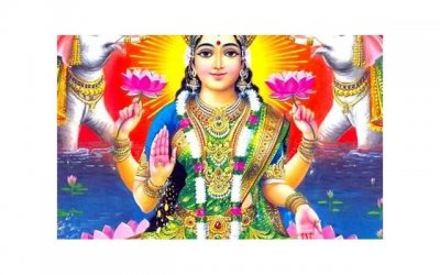 ​怎么和性单恋相处