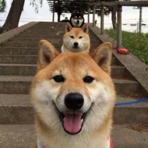 ​判断闺蜜在不在乎你（你的朋友闺蜜可能正在算计你）