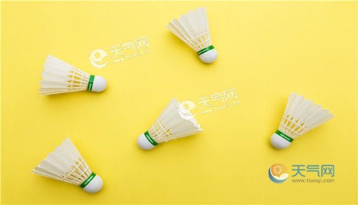 一只羽毛球上通常有几根羽毛（羽毛球介绍）